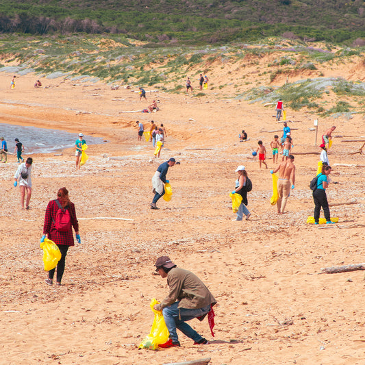 Puli_Amo Porto Ferro