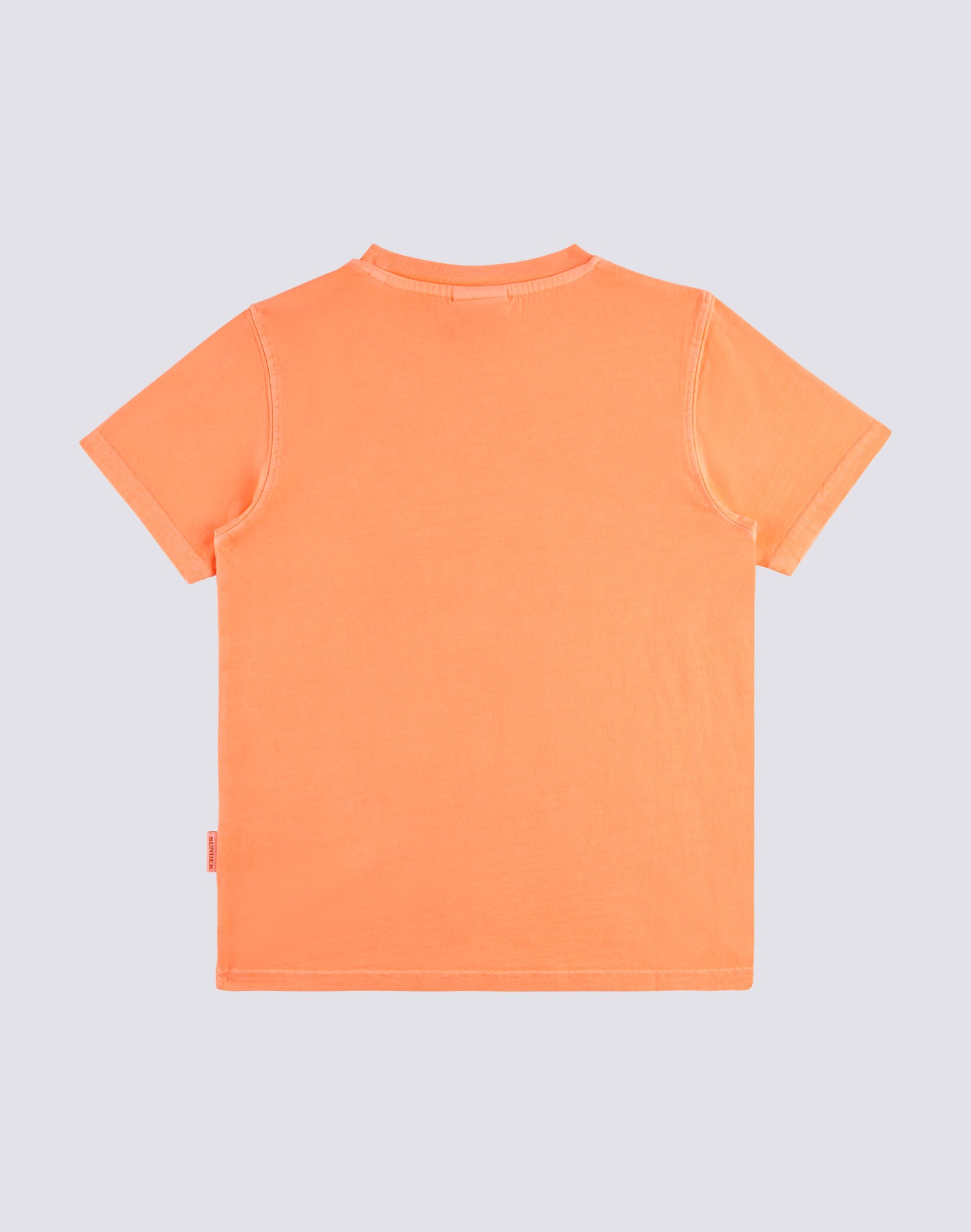 SHORT SLEEVE T-SHIRT IN OVERDYED COTTON