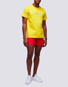 T-SHIRT HOMME EN COTON CAPSULE FLAG